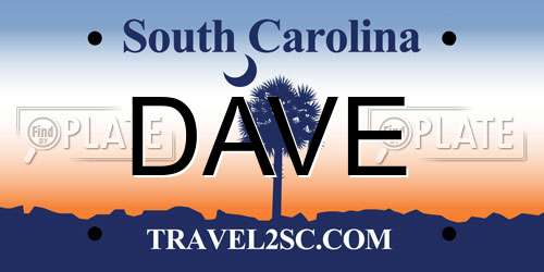 DAVE South Carolina License Plate