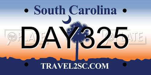 DAY325 South Carolina License Plate