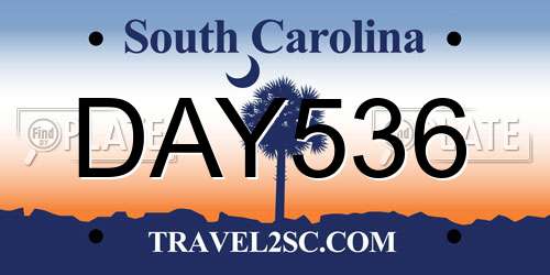DAY536 South Carolina License Plate