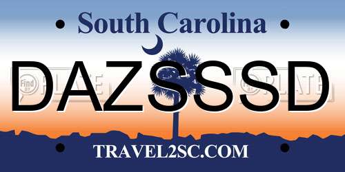 DAZSSSD South Carolina License Plate