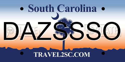 DAZSSSO South Carolina License Plate