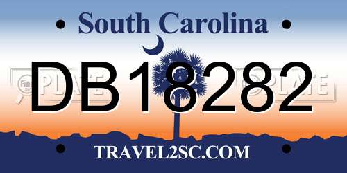 DB18282 South Carolina License Plate
