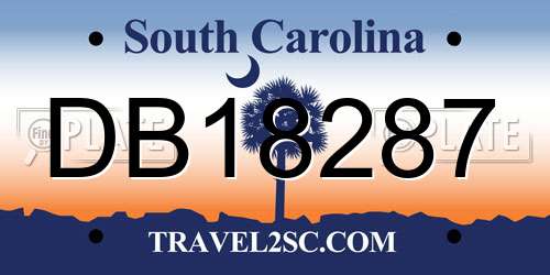 DB18287 South Carolina License Plate