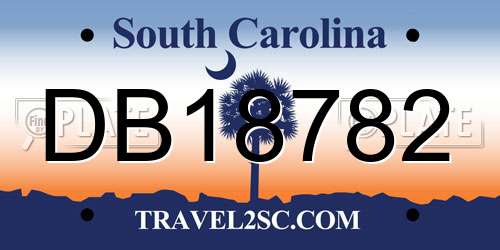 DB18782 South Carolina License Plate