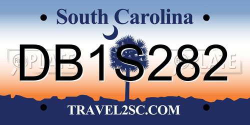 DB1S282 South Carolina License Plate