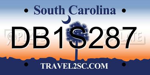 DB1S287 South Carolina License Plate