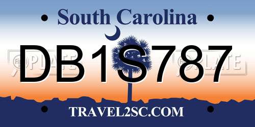 DB1S787 South Carolina License Plate