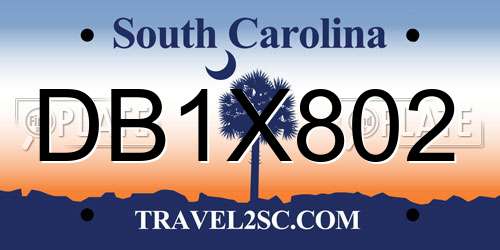 DB1X802 South Carolina License Plate