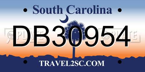 DB30954 South Carolina License Plate