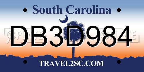 DB3D984 South Carolina License Plate