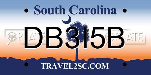 DB3I5B South Carolina License Plate