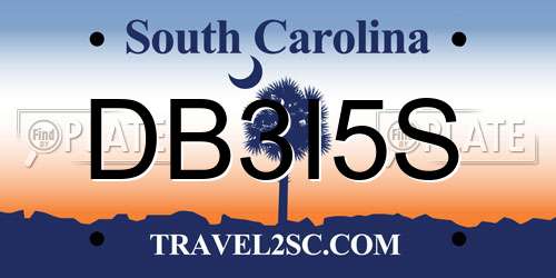 DB3I5S South Carolina License Plate