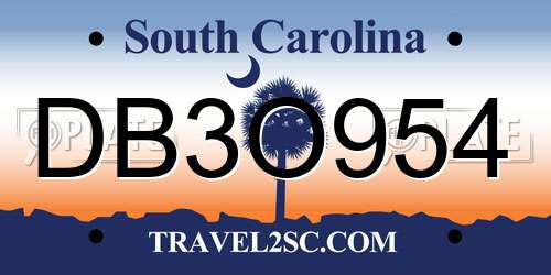DB3O954 South Carolina License Plate