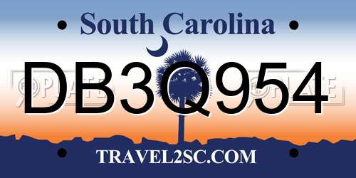 DB3Q954 South Carolina License Plate