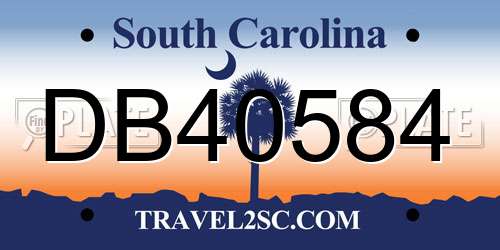 DB40584 South Carolina License Plate