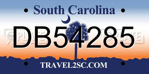 DB54285 South Carolina License Plate