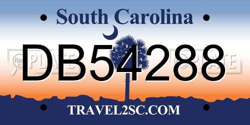 DB54288 South Carolina License Plate