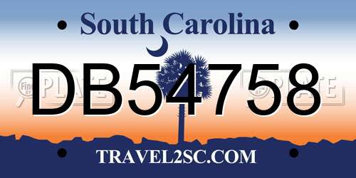 DB54758 South Carolina License Plate