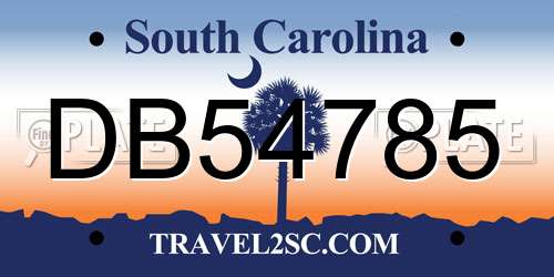 DB54785 South Carolina License Plate