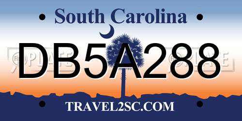 DB5A288 South Carolina License Plate