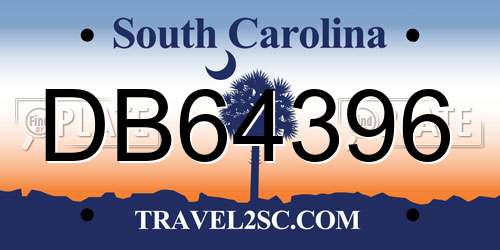 DB64396 South Carolina License Plate