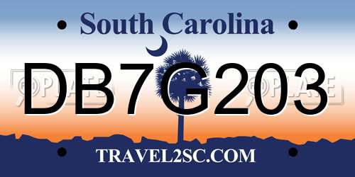 DB7G203 South Carolina License Plate