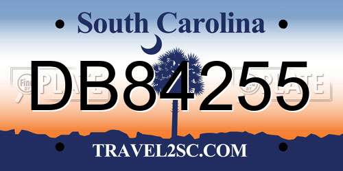 DB84255 South Carolina License Plate