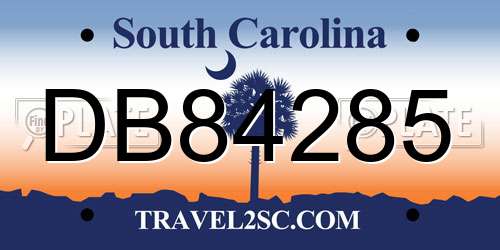 DB84285 South Carolina License Plate
