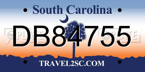 DB84755 South Carolina License Plate