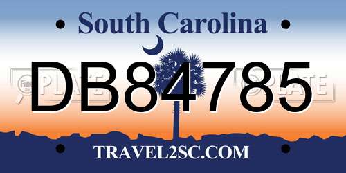 DB84785 South Carolina License Plate