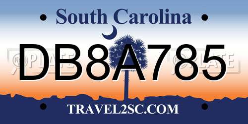 DB8A785 South Carolina License Plate