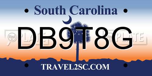 DB9T8G South Carolina License Plate