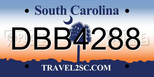 DBB4288 South Carolina License Plate
