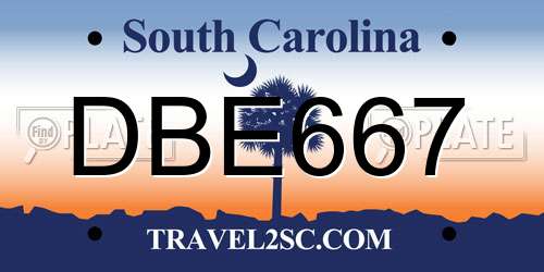 DBE667 South Carolina License Plate