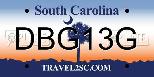DBG13G South Carolina License Plate