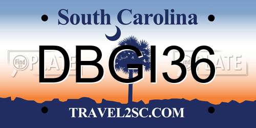 DBGI36 South Carolina License Plate