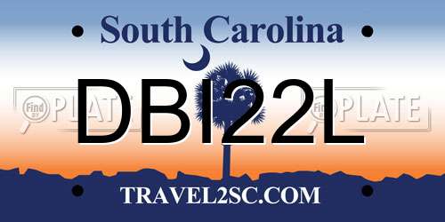 DBI22L South Carolina License Plate