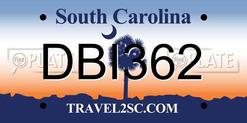 DBI362 South Carolina License Plate