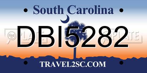 DBI5282 South Carolina License Plate