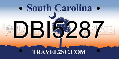 DBI5287 South Carolina License Plate