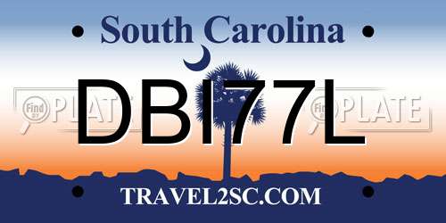 DBI77L South Carolina License Plate