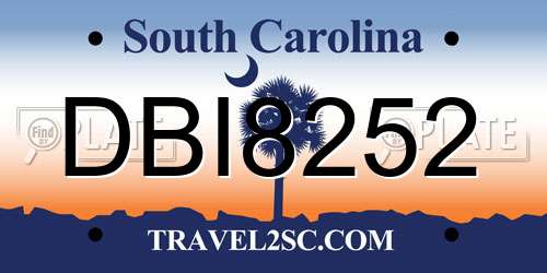 DBI8252 South Carolina License Plate