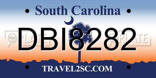 DBI8282 South Carolina License Plate