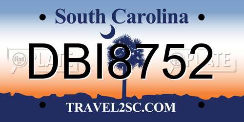 DBI8752 South Carolina License Plate