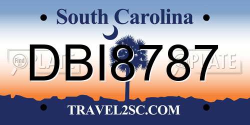 DBI8787 South Carolina License Plate