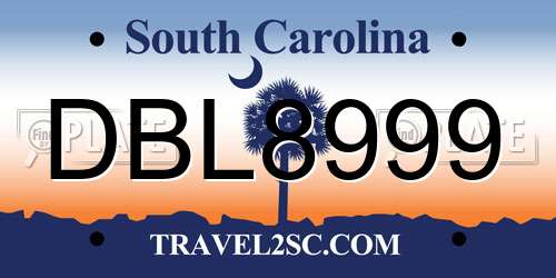 DBL8999 South Carolina License Plate