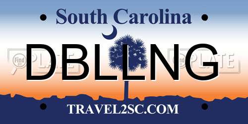 DBLLNG South Carolina License Plate