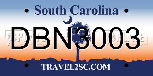 DBN3003 South Carolina License Plate