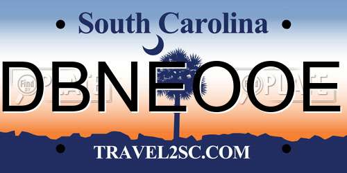 DBNEOOE South Carolina License Plate