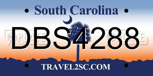 DBS4288 South Carolina License Plate